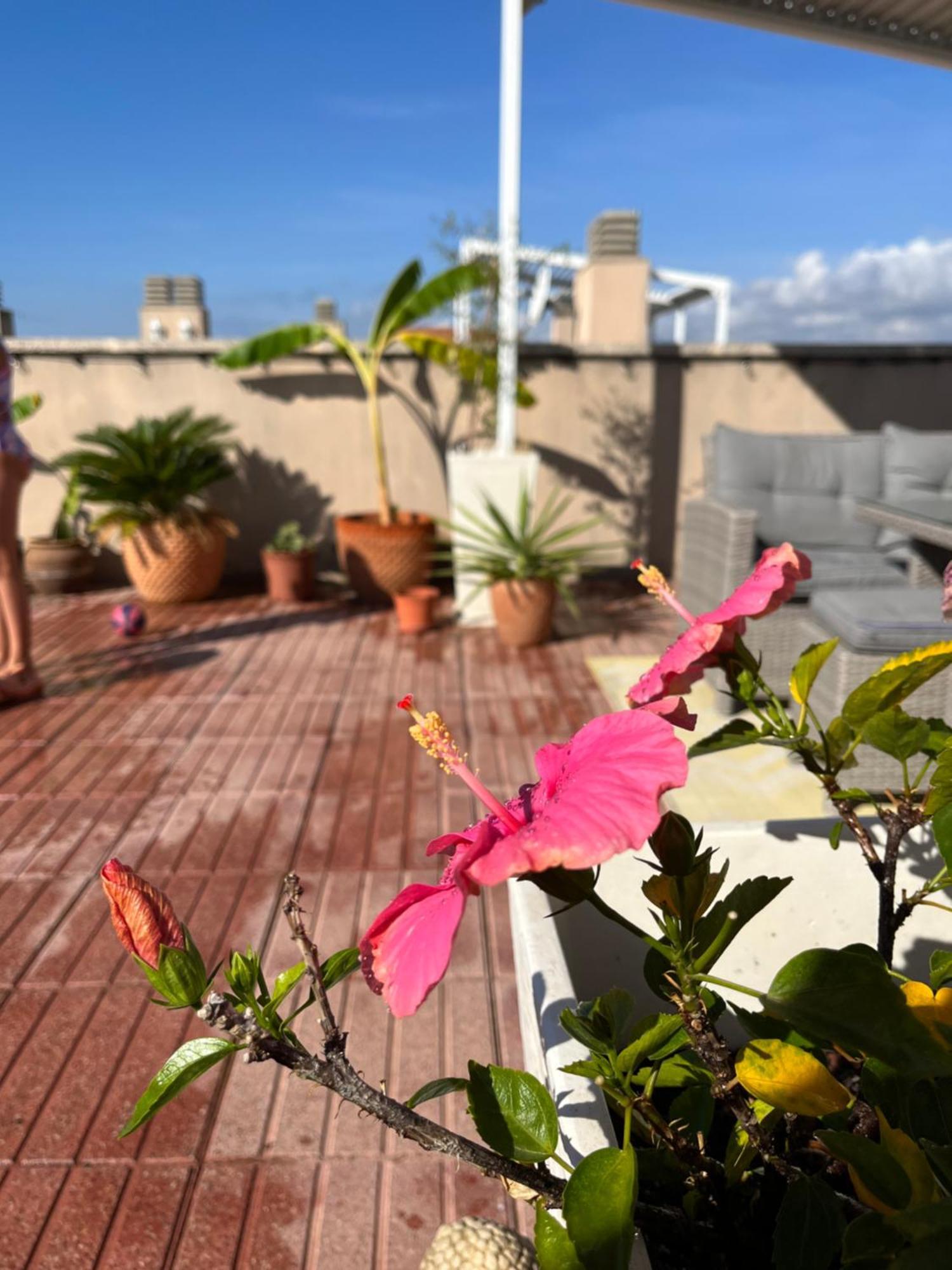 Apartamento La azotea Cambrils Exterior foto